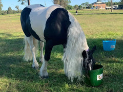 Tuff Tub Bucket Lime 40lt