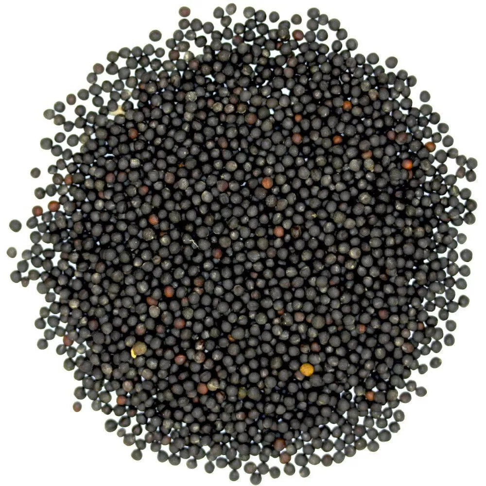 Avigrain Canola 20kg (SYD) **