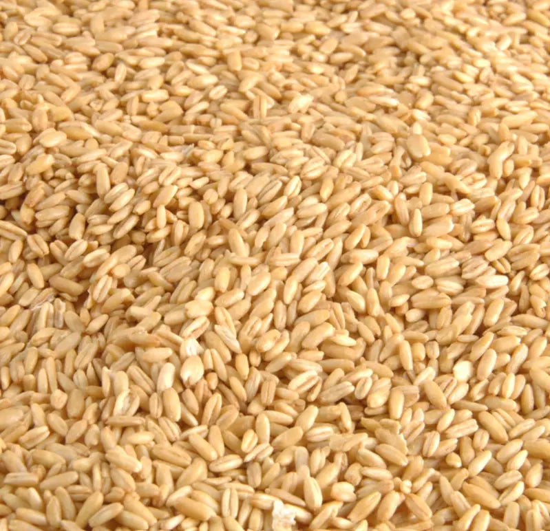 Avigrain Hulled Oats 20kg (SYD) **