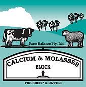 FB Calcium Molasses Salt Block 18kg **