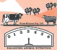 FB Green Feed Block 18kg **