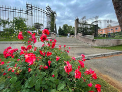 Measuring Jug 500ml **