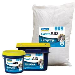 Kelato GastroAID Everyday 20kg **