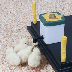 Brookfield Poultry Drinking Bottle with Flap Lid 500ml – Chicken Bird Water Feeder