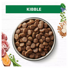 IC Lrg Brd Lamb Coconut GrainFree 13kg *