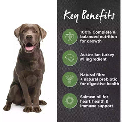 IC Adult LB Turkey & Brown Rice 15kg**