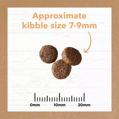 IC Kitten Grain Free Chicken 4kg**