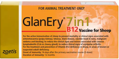 Zoetis GlanEry 7in1 B12 500ml ** @@