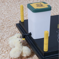 BF Chick Drinking Bottle w/Hinge Lid 1l*