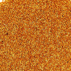 Avigrain Red Panicum 20kg (VIC) **