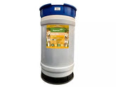 Apparent Dingo Chlorpyrifos 500 110ltr**