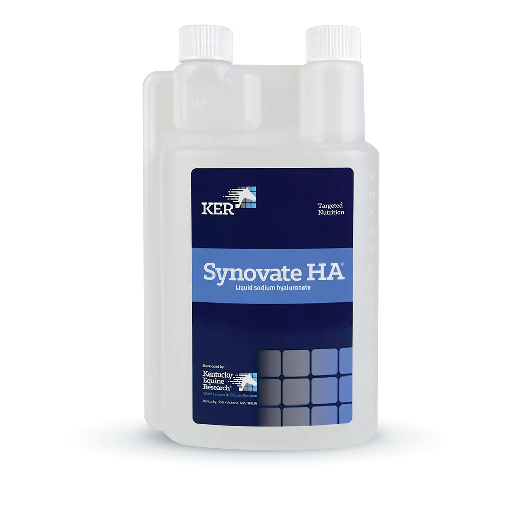 Kentucky Synovate HA 946ml **