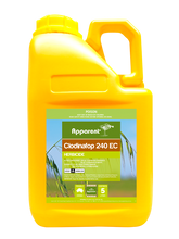 Apparent Clodinafop 5ltrs **