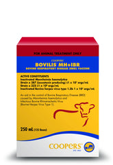 Intervet Bovilis MH-IBR 250ml **