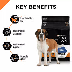 Pro Plan Essential Lrg Adt 15kg ##