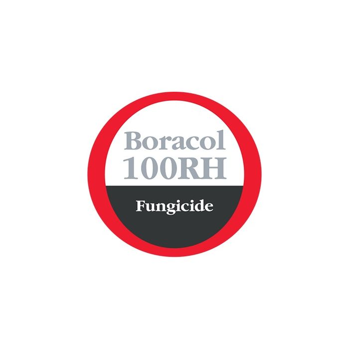 BORACOL 100RH 20L