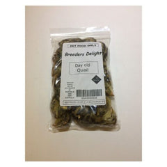Breeders Delight Frozen Quail - 1 Day Old 10pk