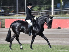 Kelato BetaMARE 3.78lt