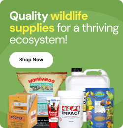 Quality wildlife  supplies for a thriving ecosystem