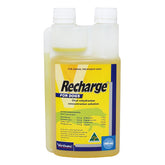 Virbac Recharge for Dogs 1ltr - Electrolyte Energy Fluid Greyhounds Canine Supplement