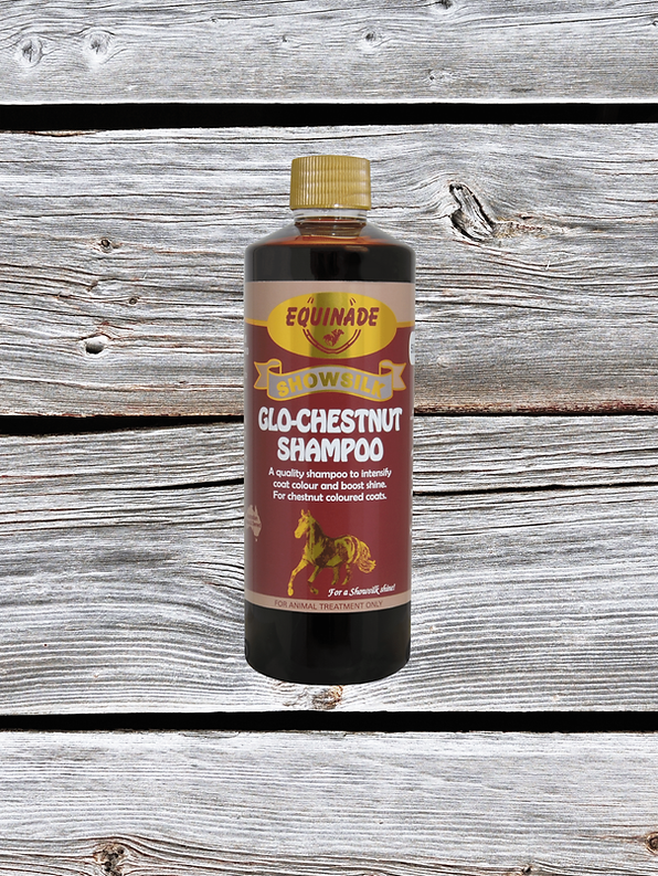 Eqnde Showsilk GloChestnut Shamp 500ml *