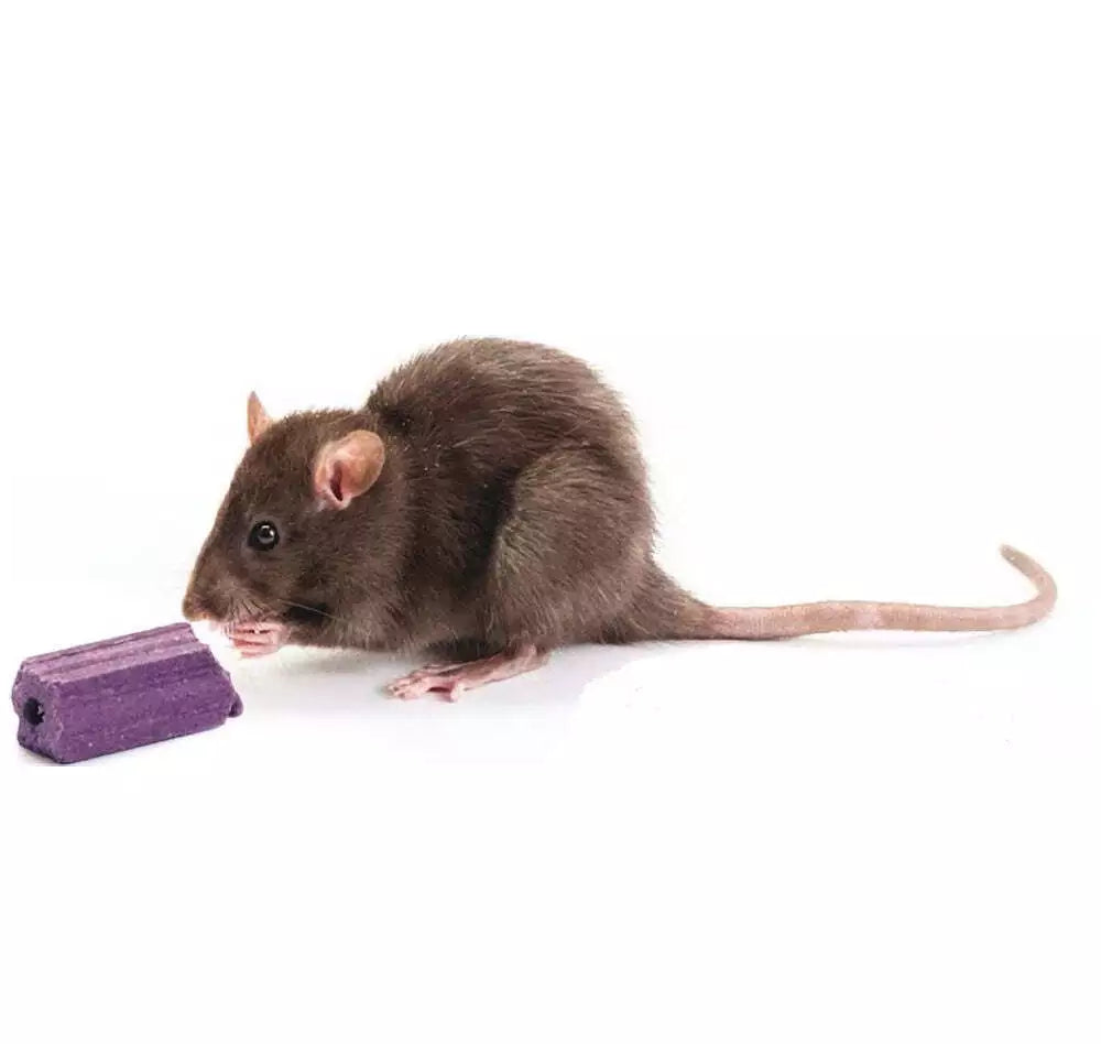 Bayer Racumin 8 Rat & Mouse 10kg **