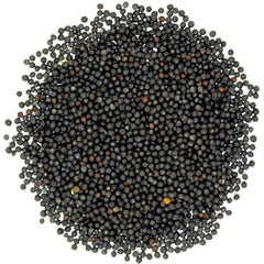 Avigrain Canola 20kg (SYD) **