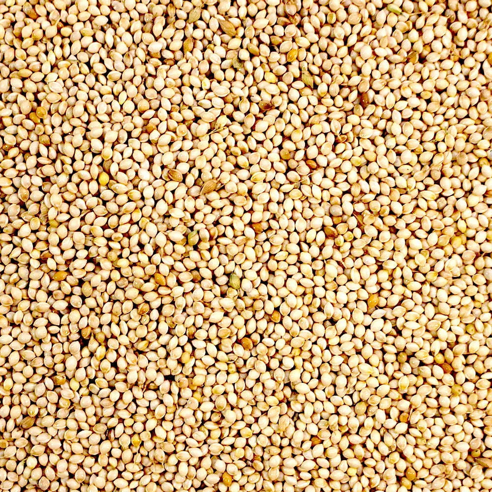 Avigrain White French 20kg (SYD) **