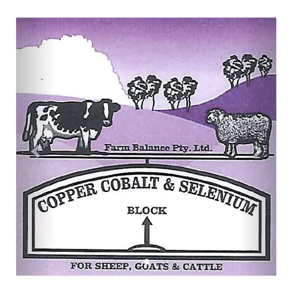 FB Copper, Cobalt & Sel Block 18kg **