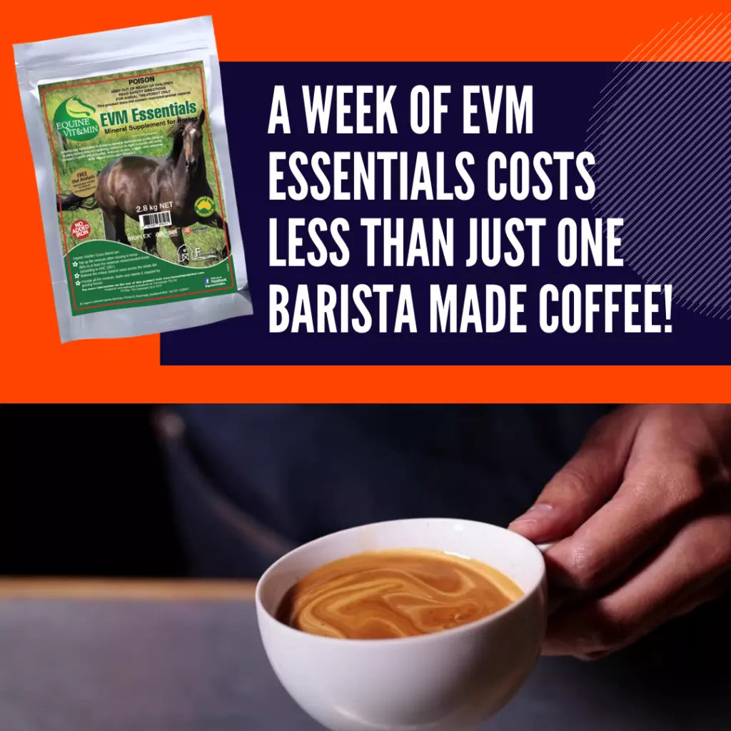 EVM Essential Blend 12kg **