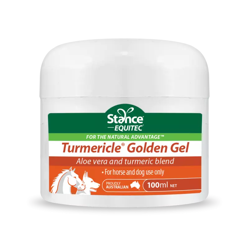 Equitec Turmericle Golden Gel 100ml **