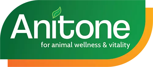 Anitone 250ml **@