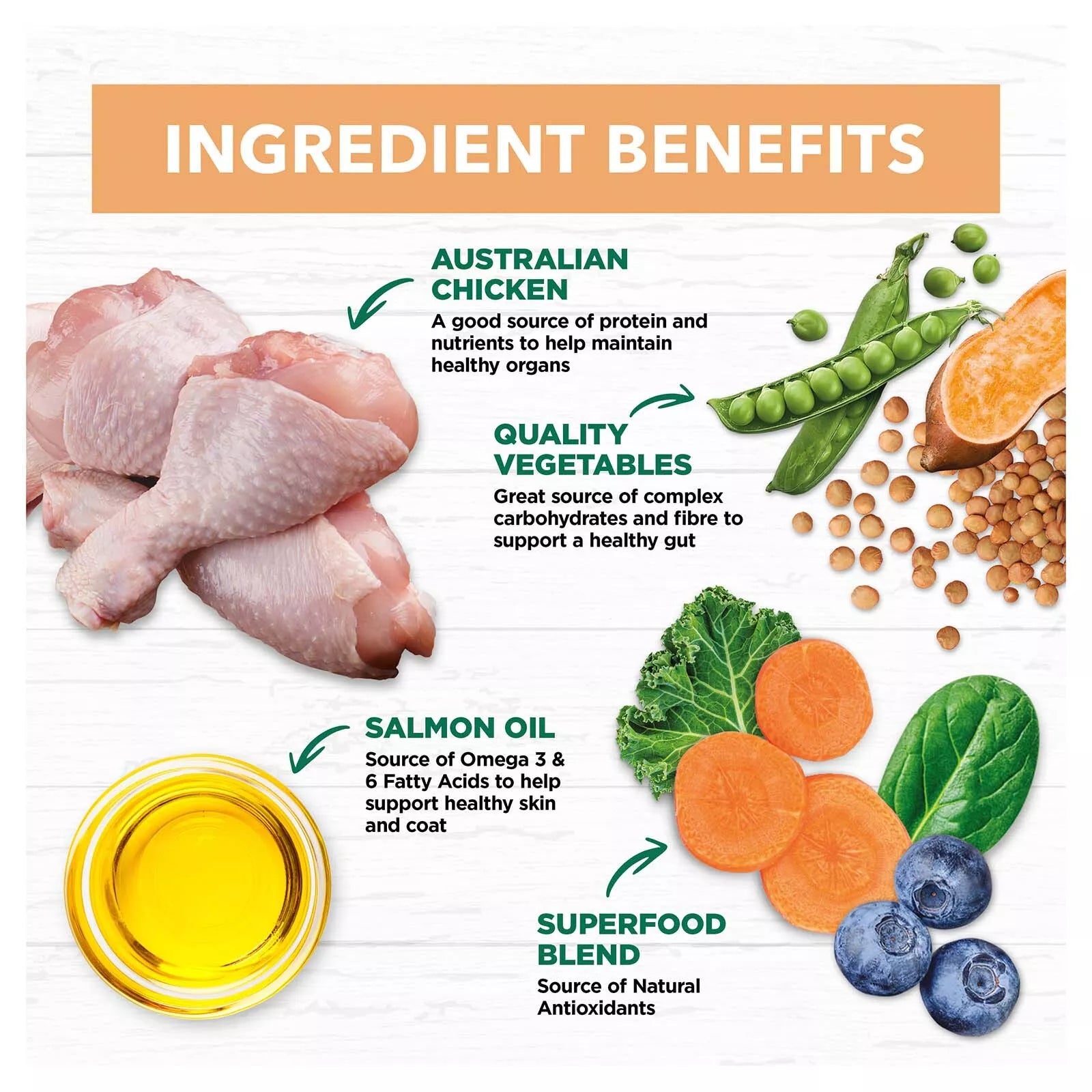 IC Puppy Lrg Breed Lamb Grain Free 13kg*