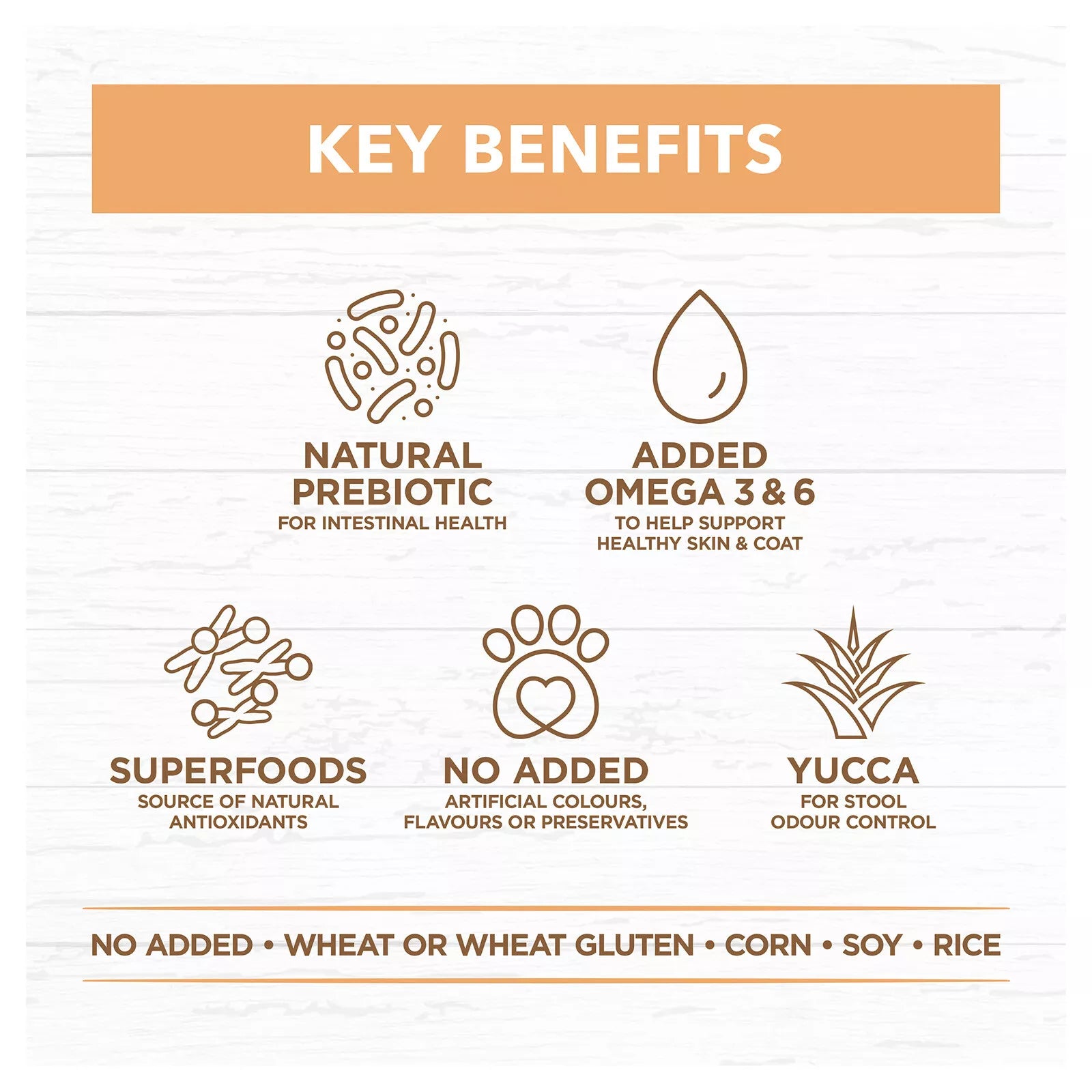 IC Puppy Lrg Breed Lamb Grain Free 13kg*