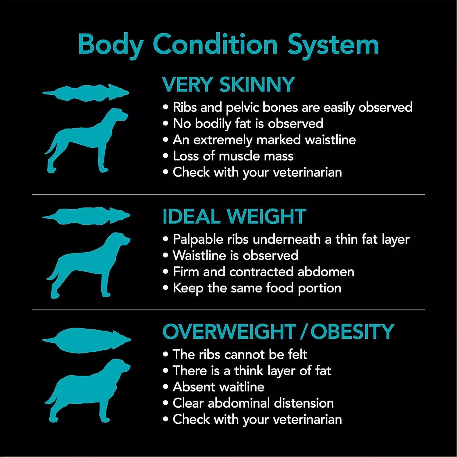 Supercoat Dog Adult Sensitive 2.6kg **