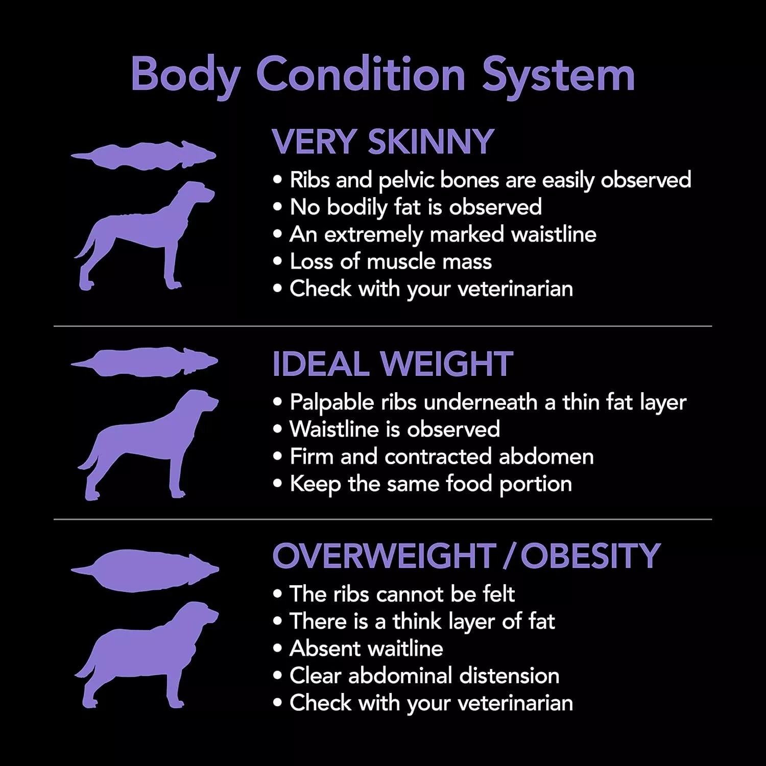 Supercoat Dog Adult Sml Brd Beef 2.8kg *