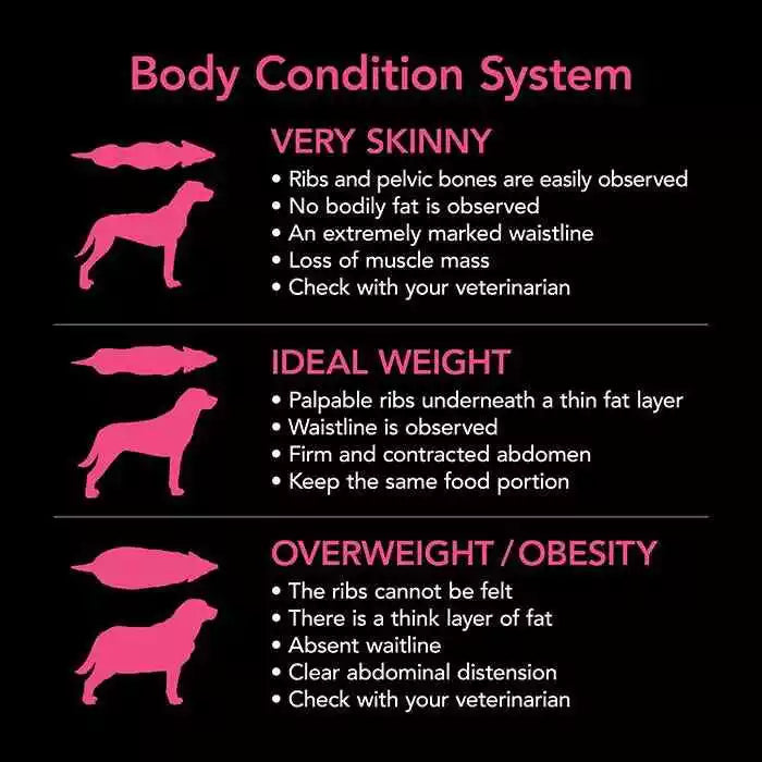 Supercoat Puppy 2.6kg **