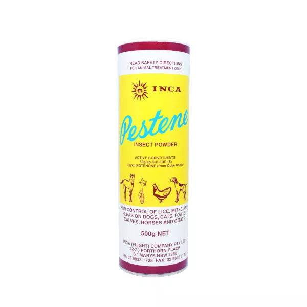 Inca Pestene Powder 500g **@@