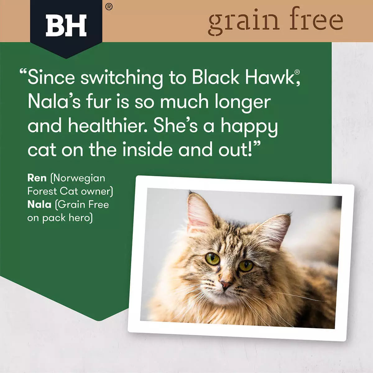 Blackhawk Cat Grn/Fr Chick/Turk 6kg **