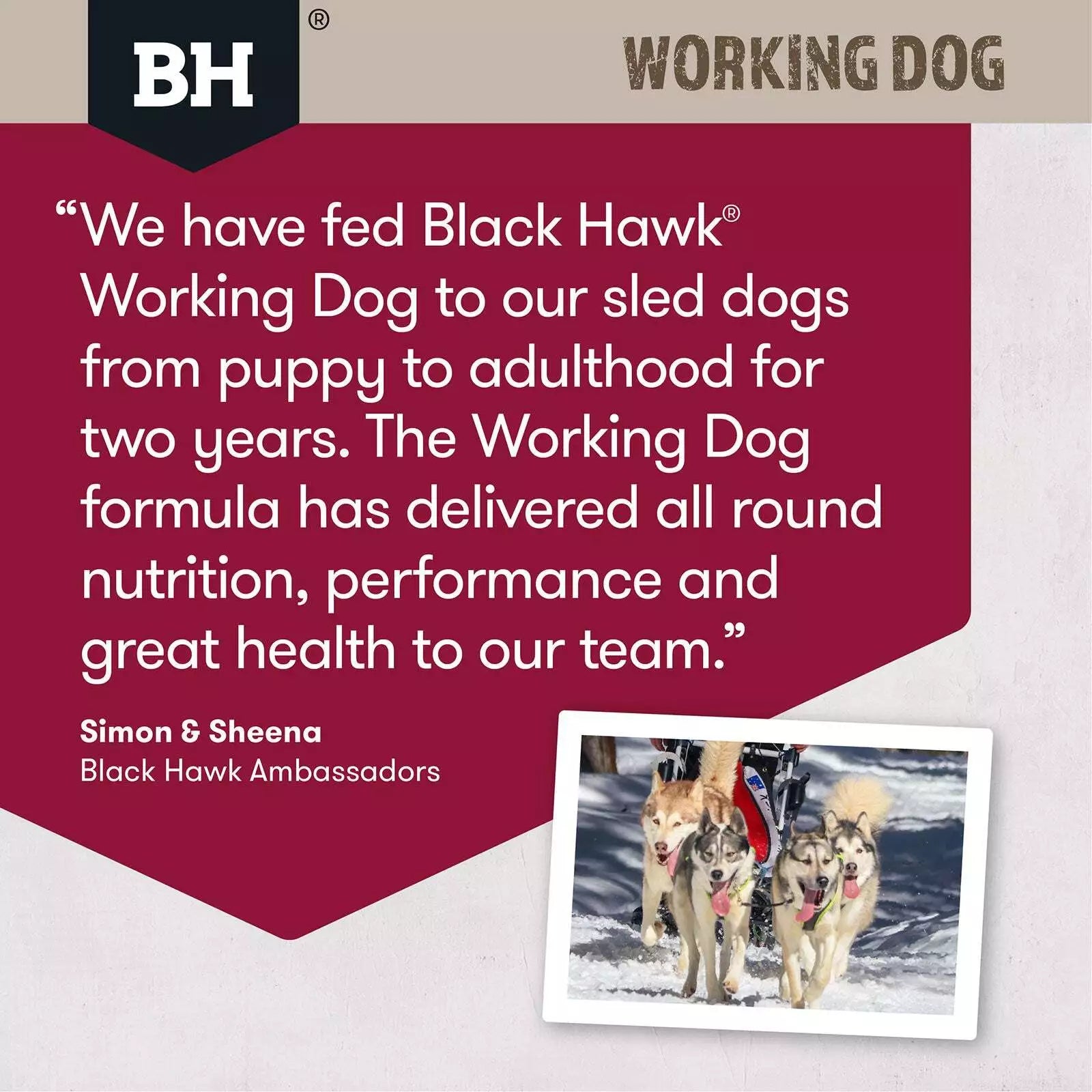 Blackhawk Working Dog Lamb/Beef 20kg **