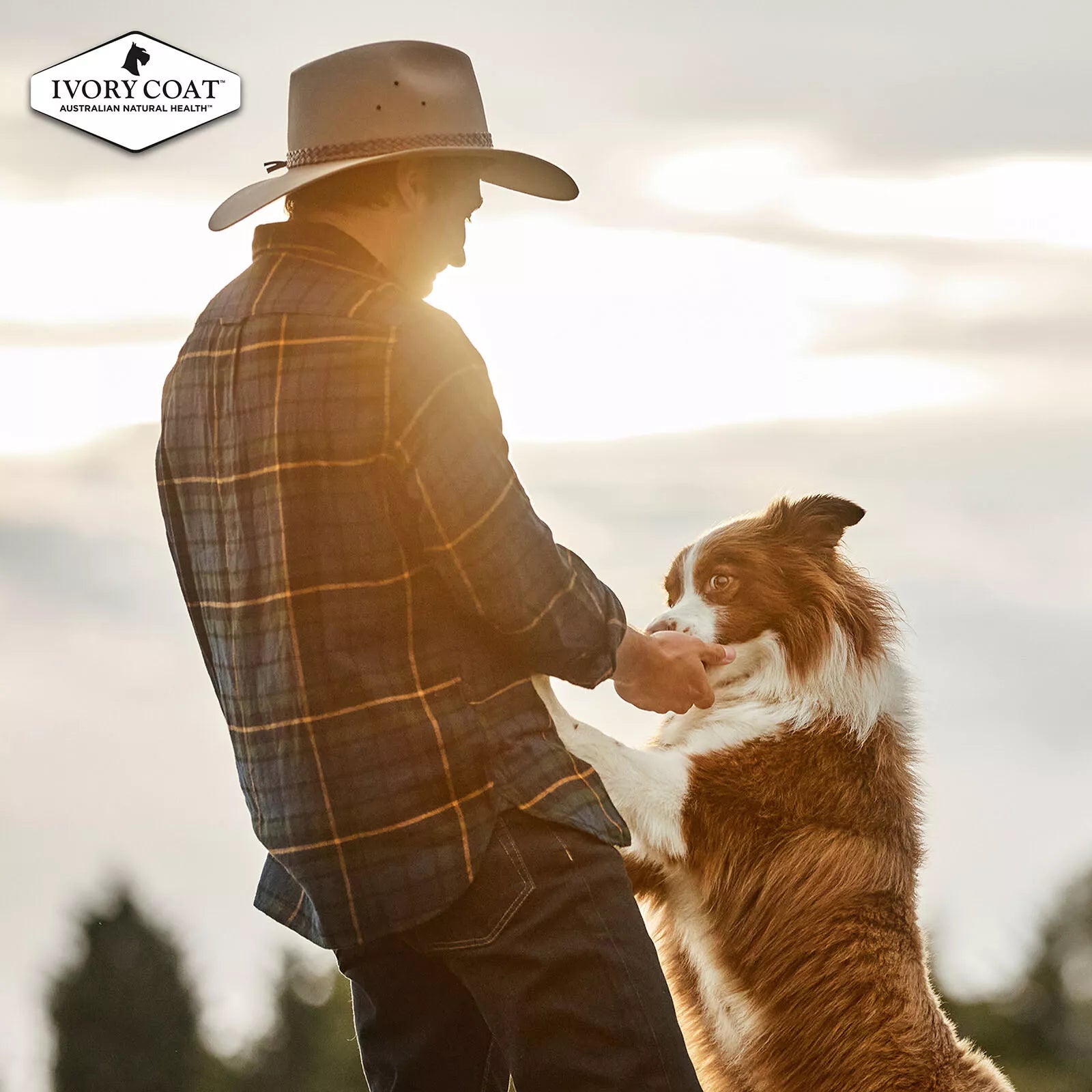 IC Lamb & Sardine Grain Free 13kg **