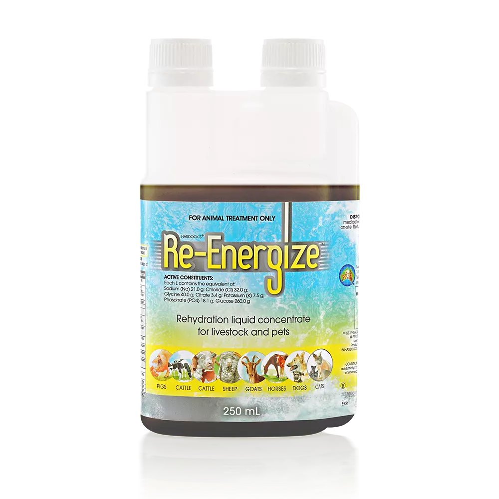 IAH Re-Energize 250ml **