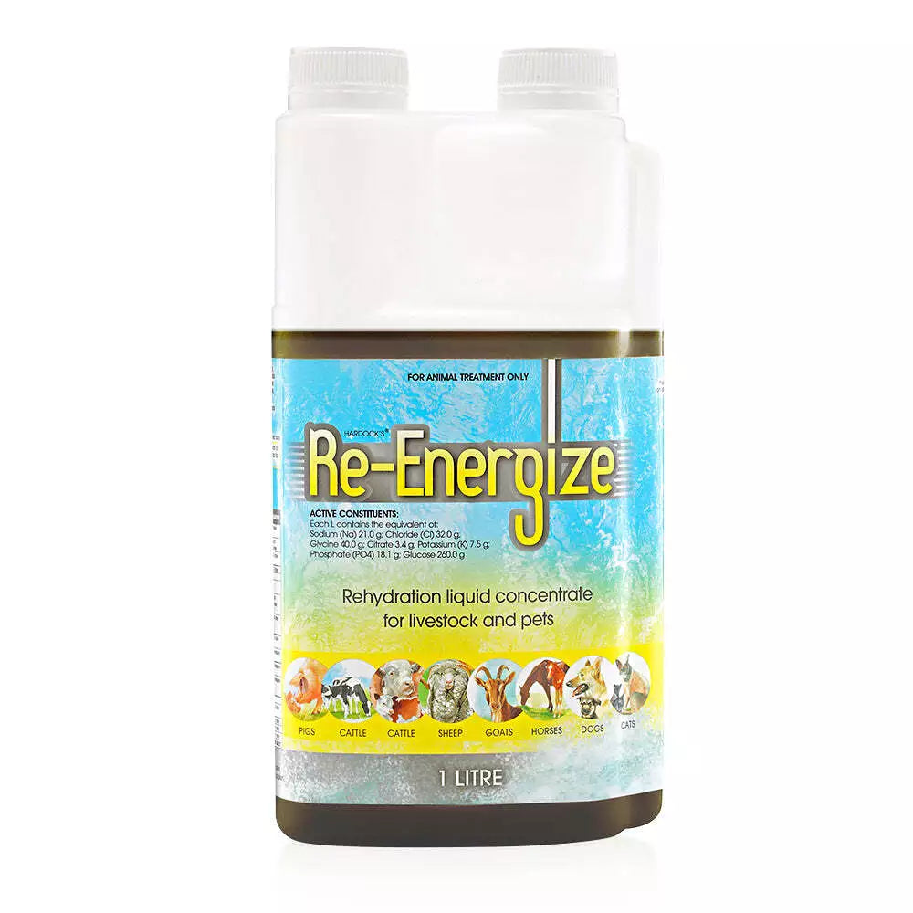 IAH Re-Energize 1lt **