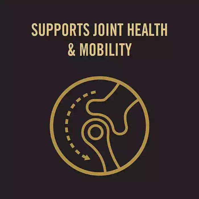 Pro Plan Bright Mind Med Lrg Adt 7+ 12k#