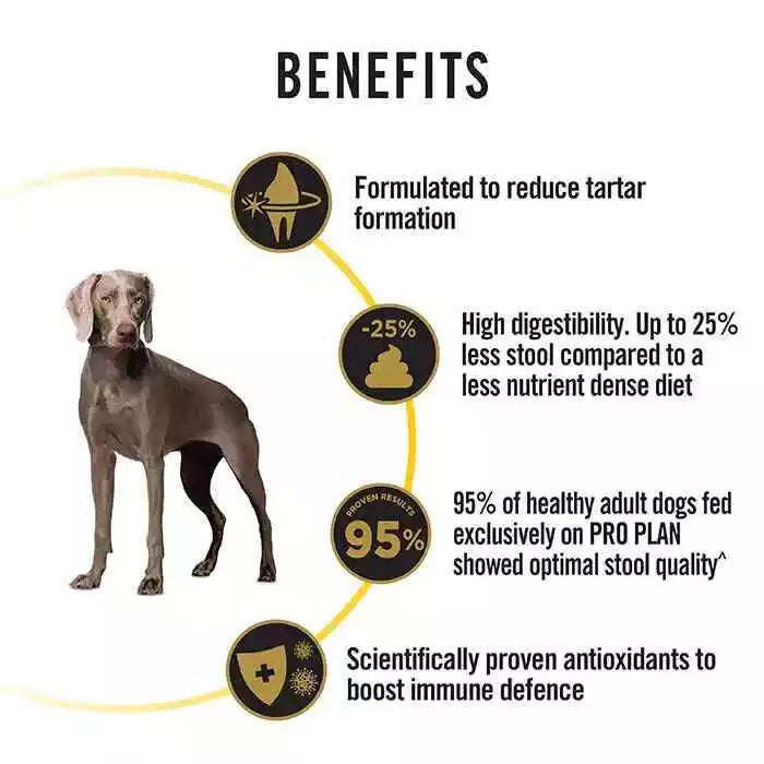 Pro Plan Bright Mind Med Lrg Adt 7+ 12k#