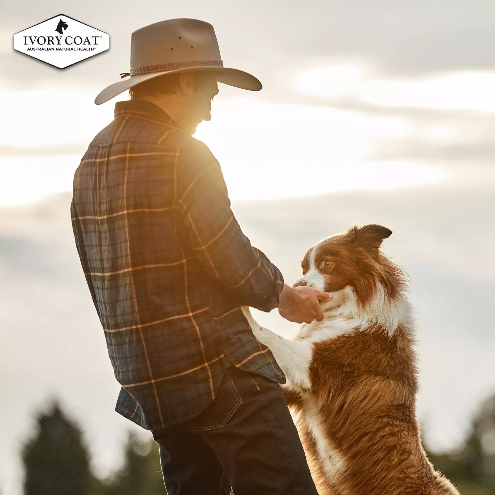 IC Cans Lamb & Kanga Stew 12x400gm ##