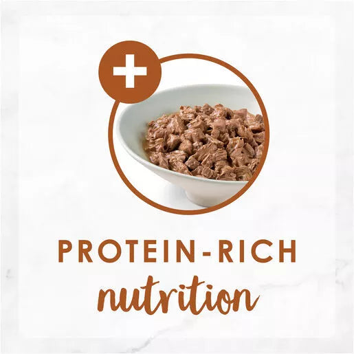 Nes F/Feast Grilled Chk&Liv 24x85g **