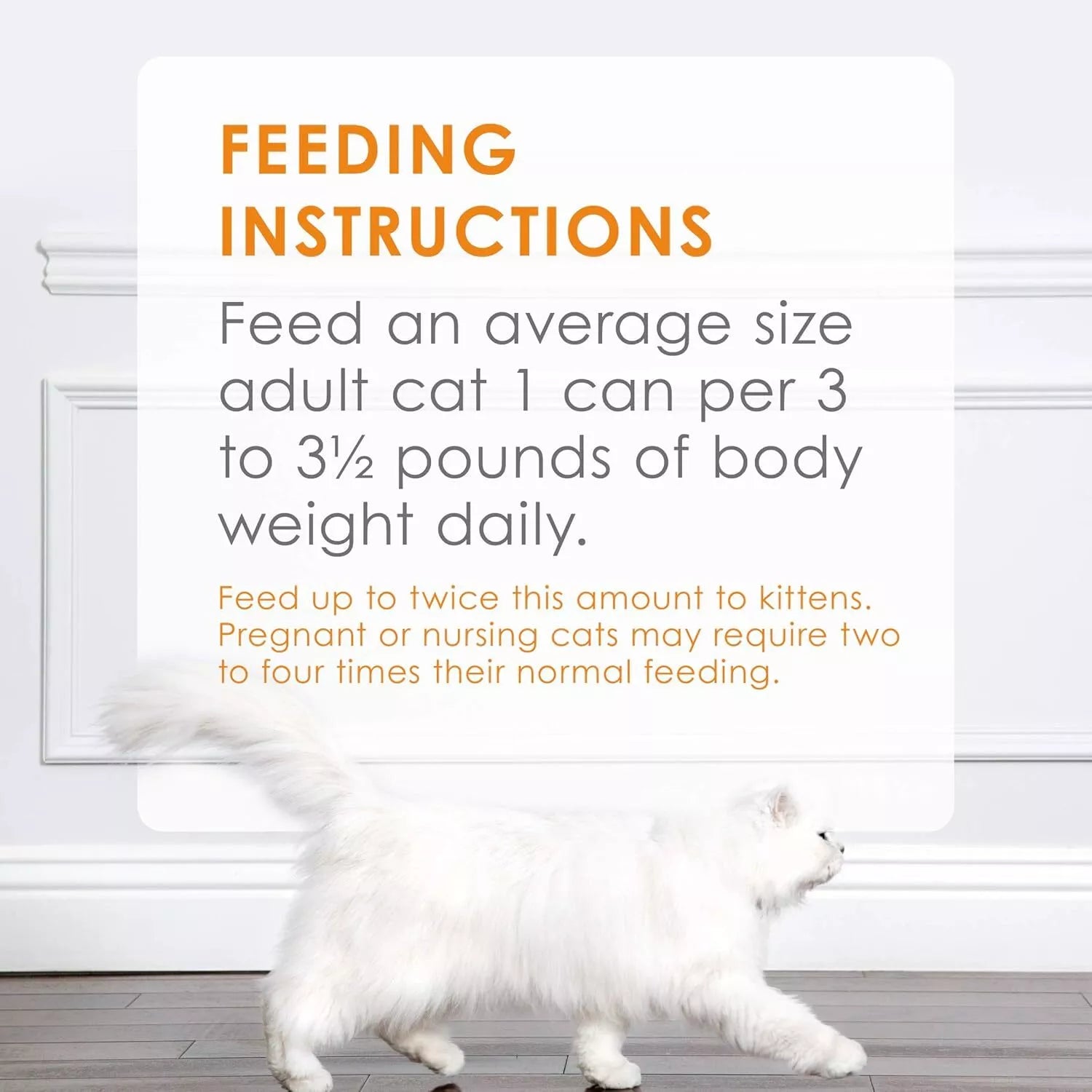 Nes F/Feast Class S/Food 2x12x85g *