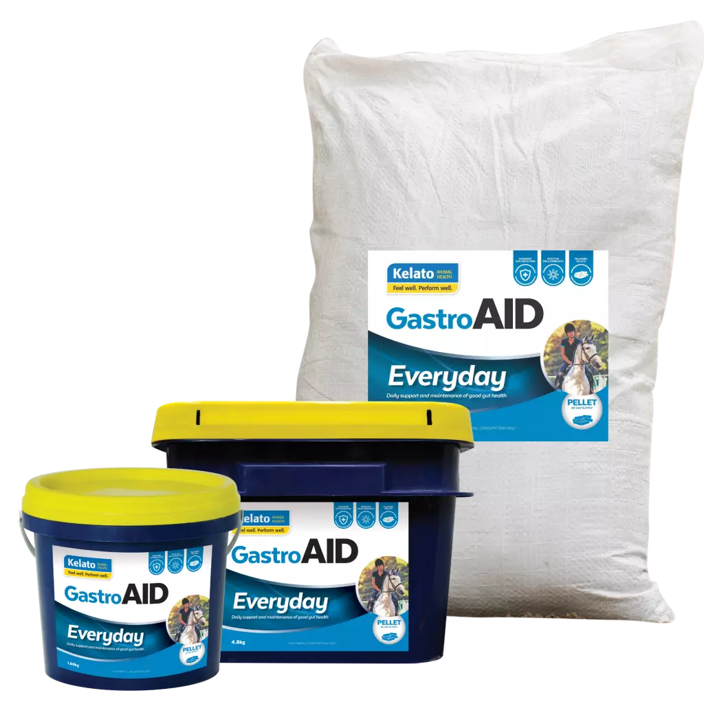 Kelato GastroAID Everyday 4.8kg **@@