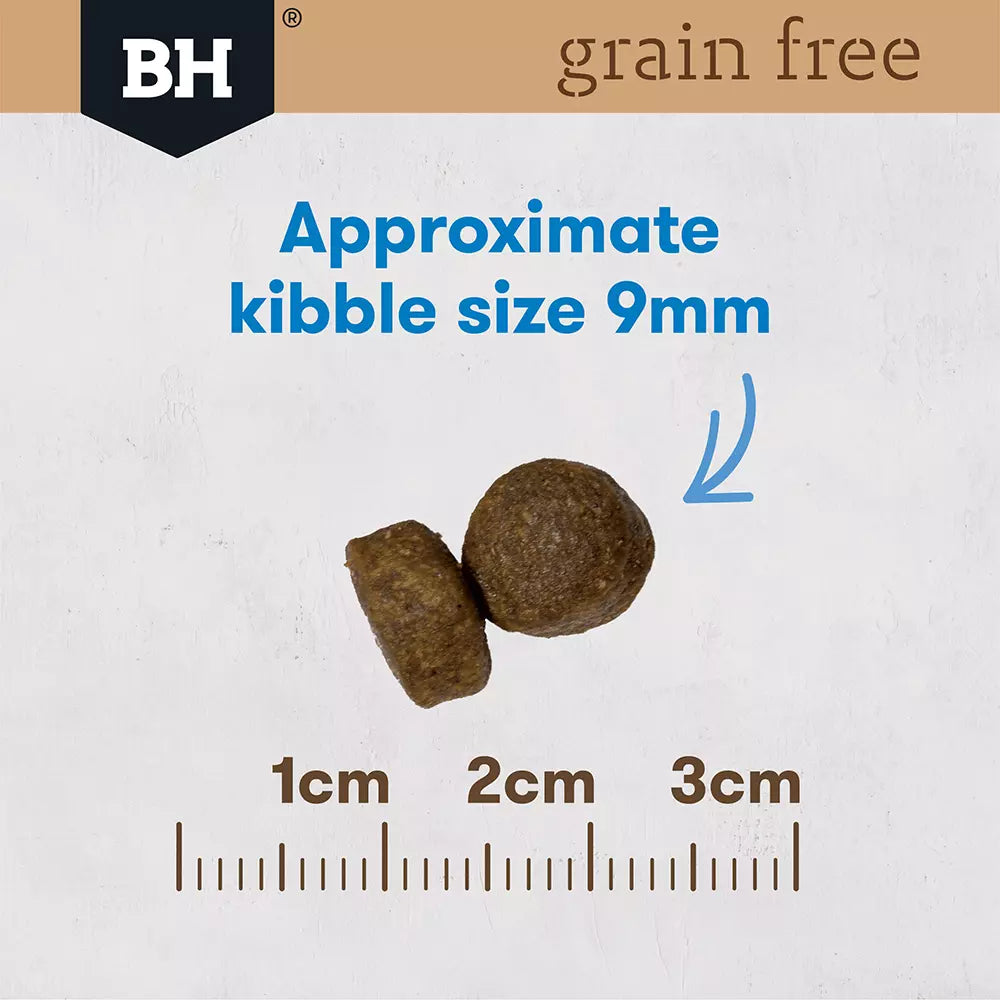 Blackhawk Puppy Grn/Fr Ocean Fish 2.5kg*